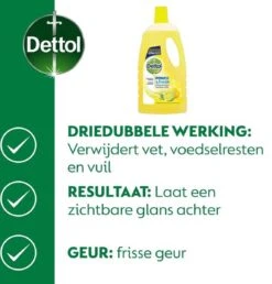 Dettol - Power & Fresh - Allesreiniger - Citrus - 8 X 1 Liter 11 Dettol - Power & Fresh - Allesreiniger - Citrus - 8 X 1 Liter -HG Sales 1149x1200 6