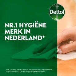 Dettol - Power & Fresh - Allesreinger Spray - Citrus - 6 X 500 Ml 21 Dettol - Power & Fresh - Allesreinger Spray - Citrus - 6 X 500 Ml -HG Sales 1194x1200 19