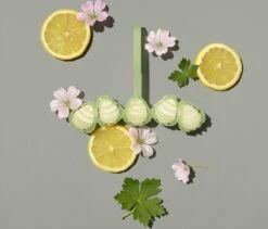 Marcel's Green Soap Toiletblok Geranium & Citroen - 55 Gram -HG Sales 1200x1023 1