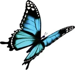 Robijn Klein & Krachtig Wasmiddel Black Velvet 1,19 Liter -HG Sales 1200x1118 2