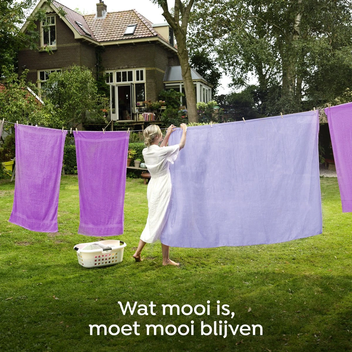 Robijn Creations Paarse Orchidee & Bosbessen Wasverzachter - 8 X 30 Wasbeurten - Voordeelverpakking 7 Robijn Creations Paarse Orchidee & Bosbessen Wasverzachter - 8 X 30 Wasbeurten - Voordeelverpakking - Afbeelding 7