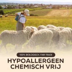 Drogerballen - Droogballen - Wasdrogerballen - Dryerballs - 6 Stuks - XL Formaat - Wol - Set 10 Drogerballen - Droogballen - Wasdrogerballen - Dryerballs - 6 Stuks - XL Formaat - Wol - Set -HG Sales 1200x1200 1374