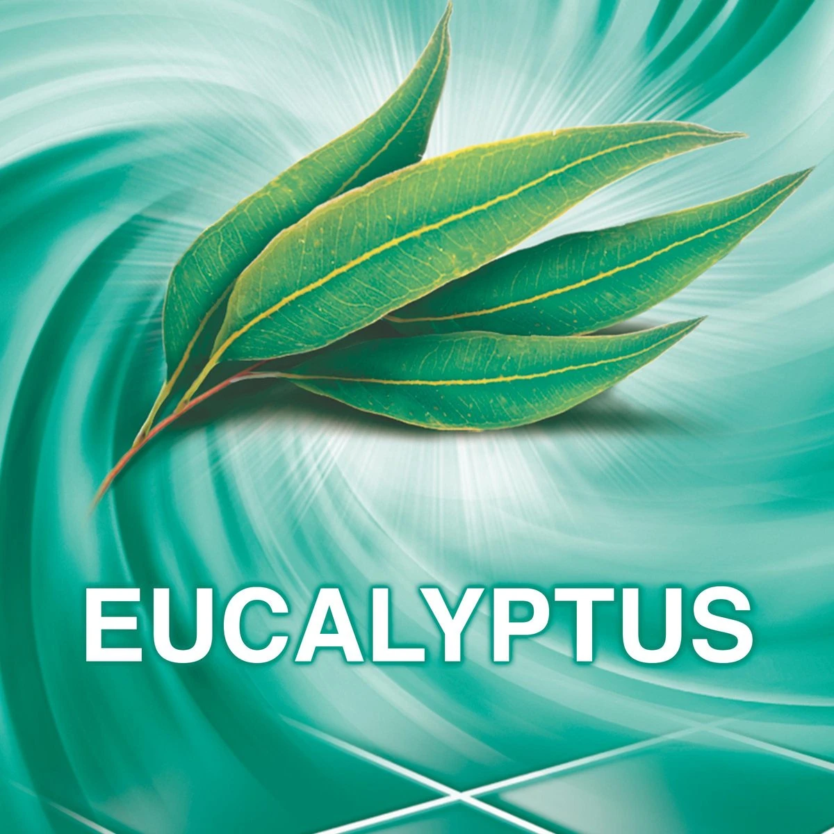 Ajax® Ajax Allesreiniger Eucalyptus 6 X 1.25L - Voordeelverpakking 5 Ajax® Ajax Allesreiniger Eucalyptus 6 X 1.25L - Voordeelverpakking - Afbeelding 5