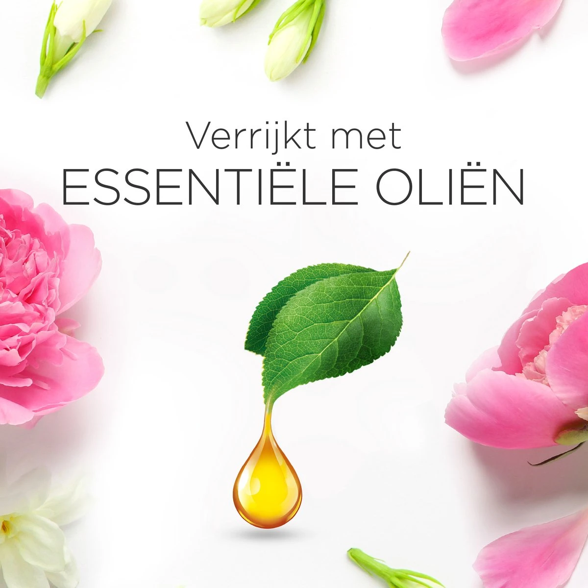 Air Wick Essential Mist Automatische Luchtverfrisser - Verfrissende Pioen En Jasmijn - 3 Navullingen 6 Air Wick Essential Mist Automatische Luchtverfrisser - Verfrissende Pioen En Jasmijn - 3 Navullingen - Afbeelding 6