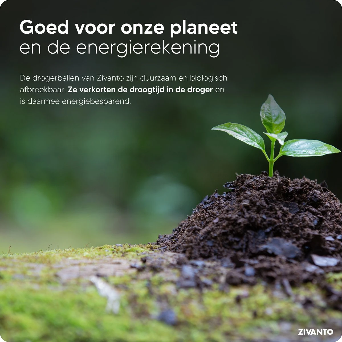 Drogerballen - Droogballen Voor Wasdrogers - Wasdrogerballen, Wasbollen & Wasballen - 100% Diervriendelijk, Duurzaam & Herbruikbaar - Duurzaam Cadeau - Energie Besparen - RWS Wol & Zero Waste - 6 Stuks Van Zivanto 8 Drogerballen - Droogballen Voor Wasdrogers - Wasdrogerballen, Wasbollen & Wasballen - 100% Diervriendelijk, Duurzaam & Herbruikbaar - Duurzaam Cadeau - Energie Besparen - RWS Wol & Zero Waste - 6 Stuks Van Zivanto - Afbeelding 8
