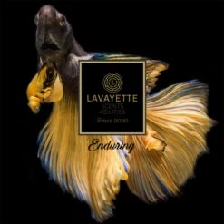 Lavayette Premium Wasparfum 2in1 - Double Fun & Jasmine Shades - Geurbooster 14 Lavayette Premium Wasparfum 2in1 - Double Fun & Jasmine Shades - Geurbooster -HG Sales 1200x1200 441