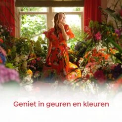 Robijn Color & Passiebloem Wasmiddel En Wasverzachter Pakket - 5 Stuks - Voordeelpakket 15 Robijn Color & Passiebloem Wasmiddel En Wasverzachter Pakket - 5 Stuks - Voordeelpakket -HG Sales 1200x1200 447